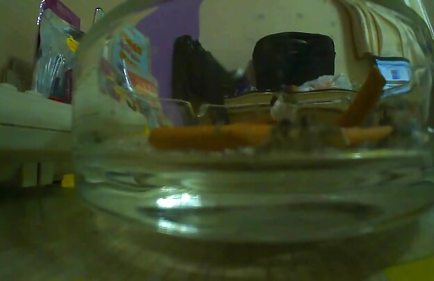 XXX تمام سگ دانلود پشت صحنه فیلمهای سکسی در باشگاه