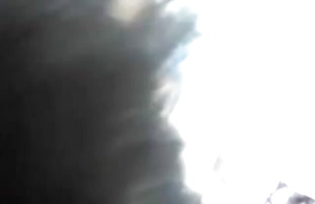 XXX شخص خوش شانس, سگ جلوی دهان خود را سایتهای دانلود فیلمهای سکسی با بیدمشک او