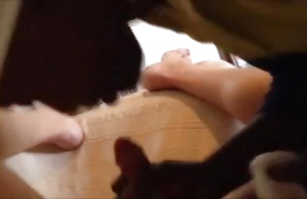 XXX زیبایی داشا دانلود فیلمهای سکسی با لینک مستقیم خورد دیک خوب