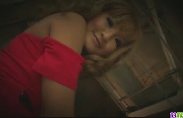 XXX قد دانلود فیلمهای کوتاه سکسی بلند و لاغر, سگ ماده, کون