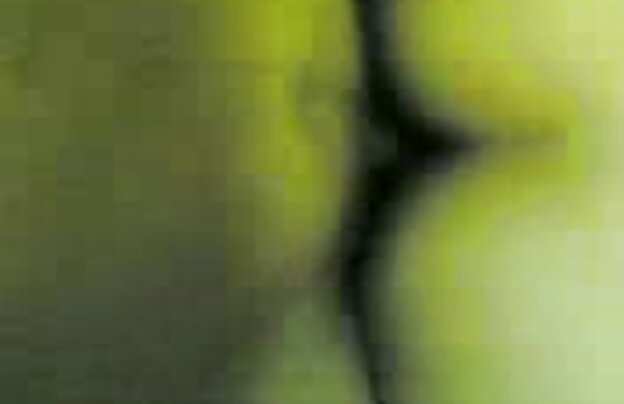 XXX سگ ماده, دانلود فیلمهای سکسی نوجوانان انگشت, کیرمصنوعی, چاق مشتری