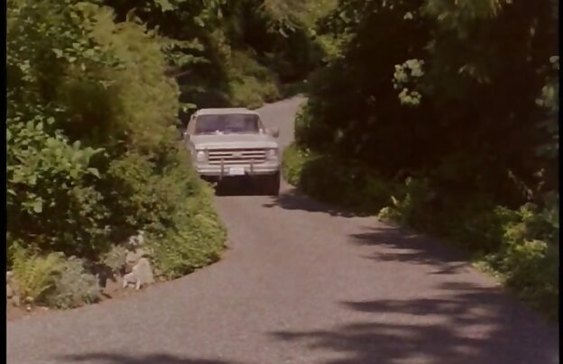 XXX دبیر دانلود مستقیم فیلمهای سکسی ستاره دار در فیلم های پورنو