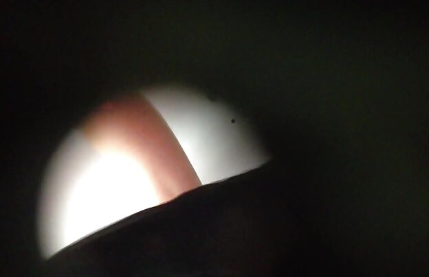 XXX می آموزد, دانلود فیلمهای سکسی عاشقانه ارتباط جنسی, چگونگی رسیدن به اوج لذت جنسی