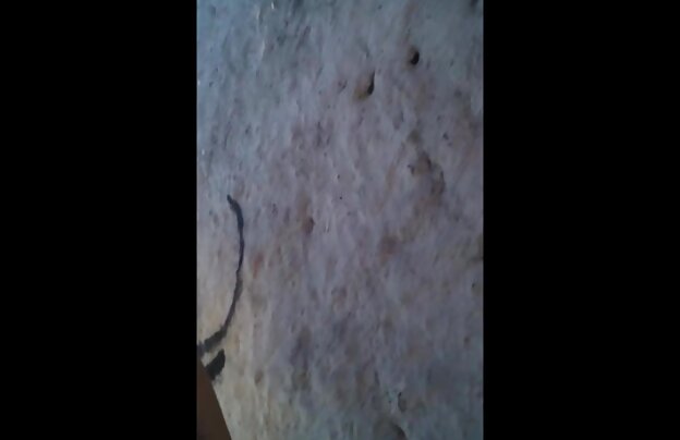 XXX تپل, کیر, بین کیک به سختی در دانلود رایگان فیلمهای نیمه سکسی می آید