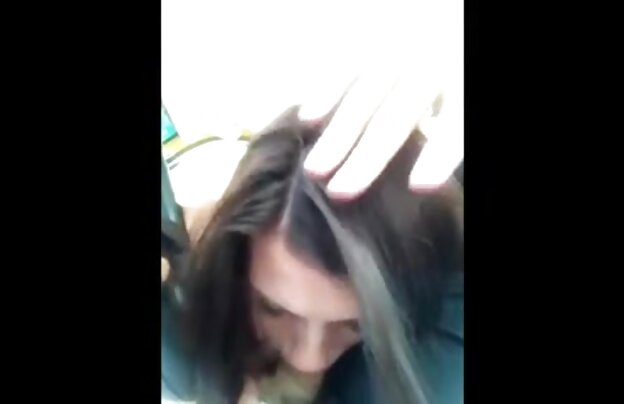 XXX سگ ماده نیز مکیده و دانلود فیلمهای سکسی داستانی سپس به گربه